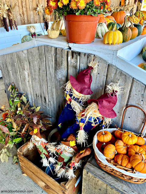 Adornos de Otoño en Applecrest Farm Orchards en New Hampshire