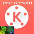 KineMaster -Pro Video Editor.apk