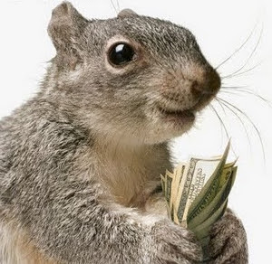 Image result for squirreled away money