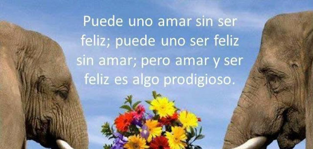 FRASE DE AMOR Y FELICIDAD