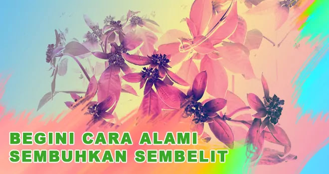 Cara Alami Sembuhkan Sembelit