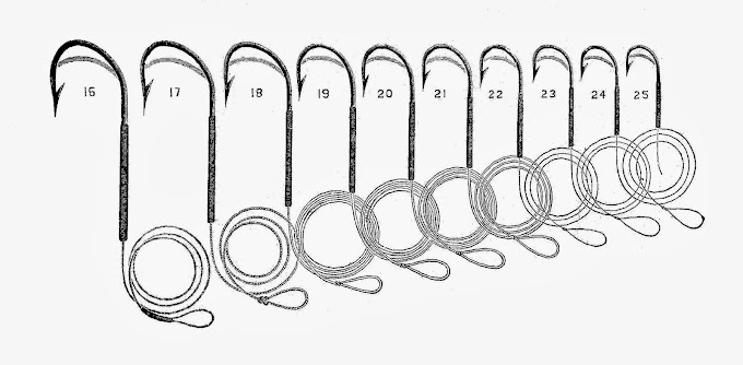 Printable Fishing Hook Size Chart