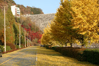 Autumn In Korea2