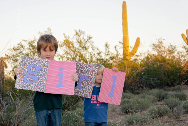 The Berry Bunch: Someone's Coming in January: The Kids Have New Shirts