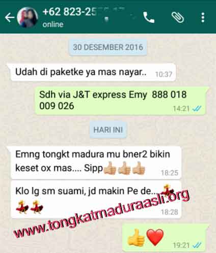 Testimoni khasiat tongkat madura