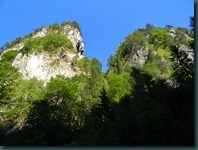 DSCN5420