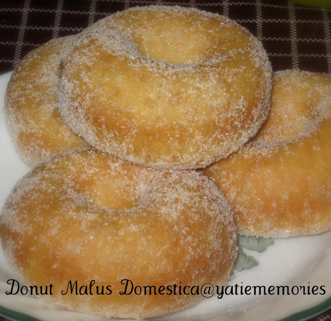 Sinar Kehidupanku**~::: Donut Malus Domestica