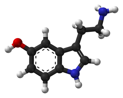 757px Serotonin Spartan HF based on xtal 3D balls web هرمون السعادة هرمون السيروتونين