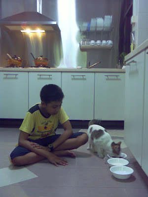 Danish With Wednesday In The Kitchen