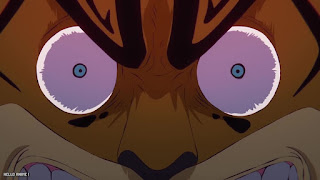 ワンピース アニメ 1110話 ロブルッチ ONE PIECE Episode 1110