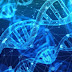 Best 15 Science Facts - Myfactshub