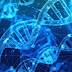Best 15 Science Facts - Myfactshub