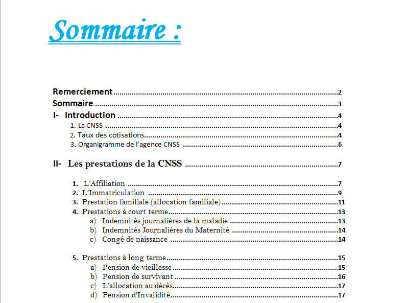 PDF Exemple de rapport de stage CNSS ~ StagePFE