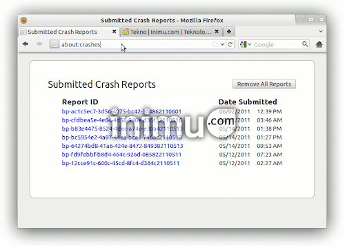 Firefox crash