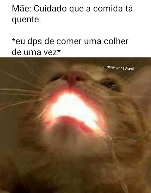 Memes engraçados