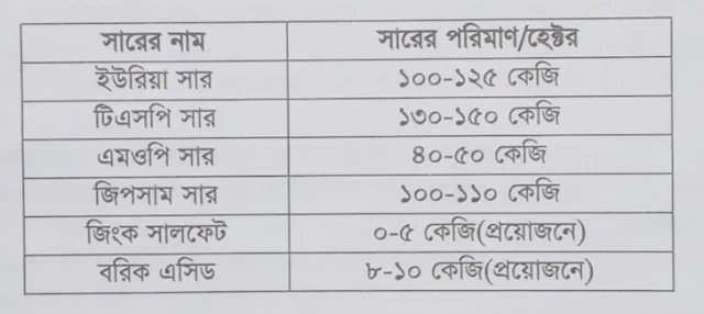 তিলের উন্নত জাত পরিচিতি ও আধুনিক উৎপাদন প্রযুক্তি