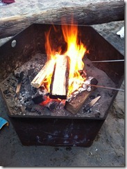 bonfire