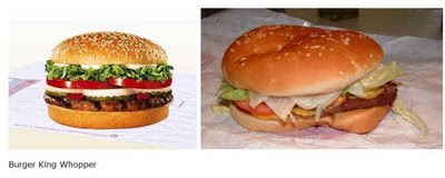 Fast Food  Reality on Skip S House Of Chaos  Fast Food Ad Pictures Vs  The Actual Product