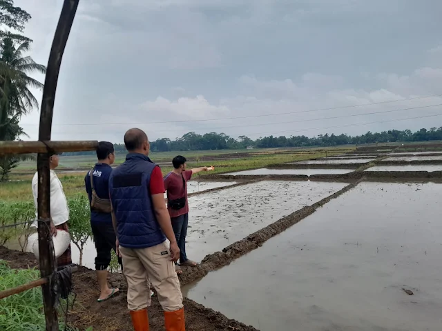Seorang Petani di Kemangkon Purbalingga Tewas Tersambar Petir, Begini Kronologinya