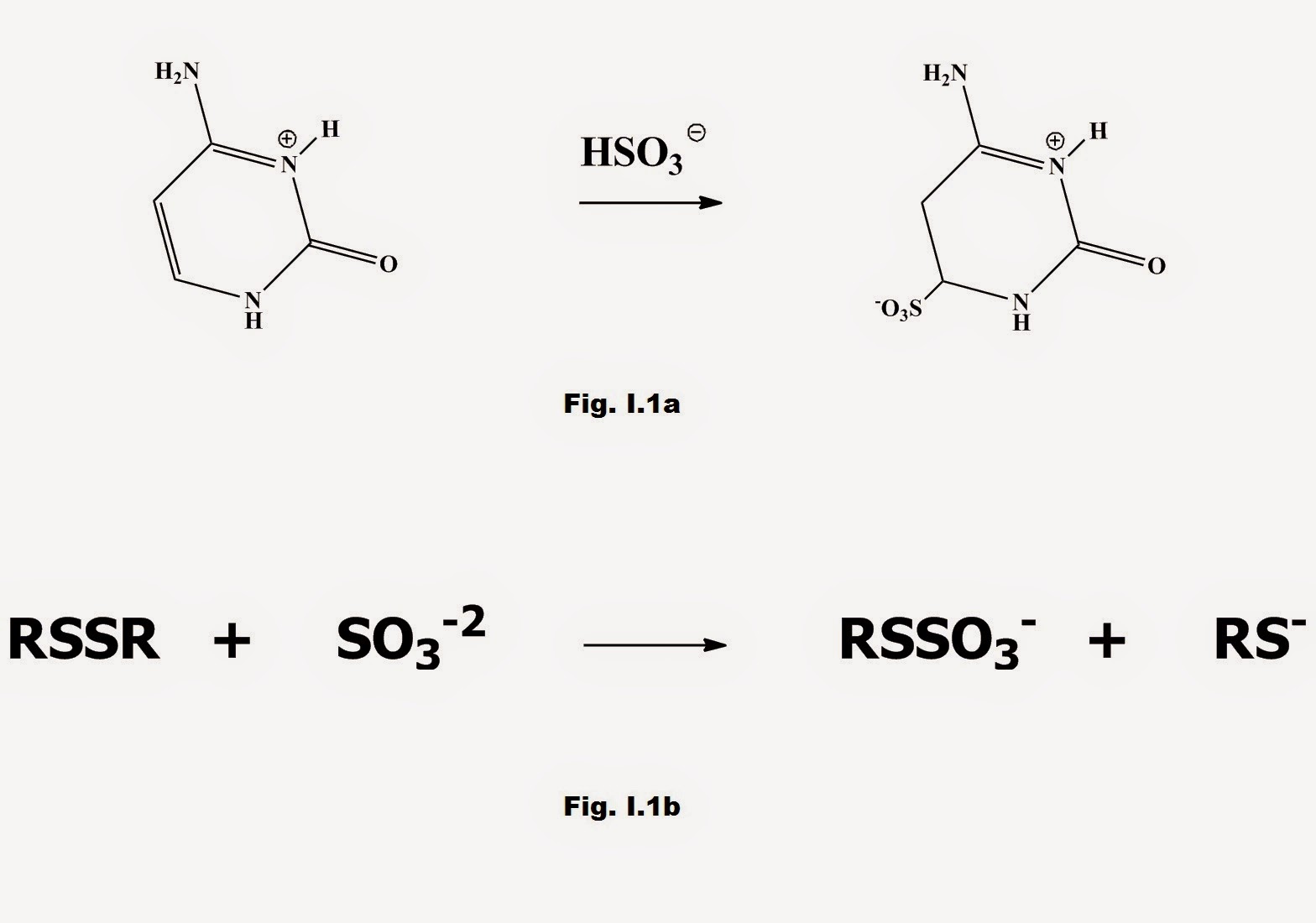 Fig. I.1 a) Pyrimidines in nucleic acids react with HSO3- to form addition compounds b) Aldehydes react with HSO3- to form addition compounds