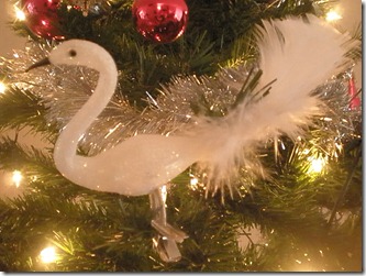 december2010 024