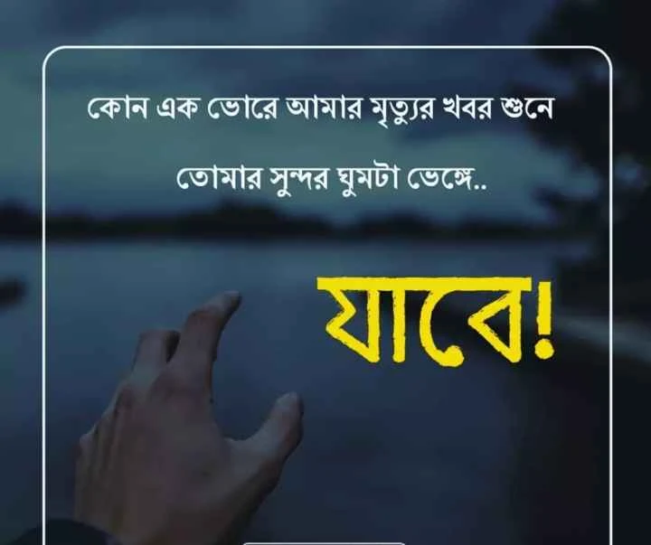 বাংলা দুঃখের সাইরি ফটো - ভালোবাসার দুঃখের সাইরি -  ব্রেকআপ সাইরি বাংলা - shayari pic - insightflowblog.com - Image no 14