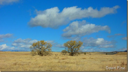 San Rafael Grasslands_014