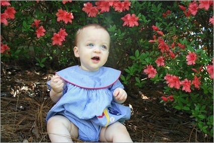 Campbell with spring flowers 366