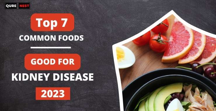 Top 7 Common foods - That Are Good For Kidney Disease 2023