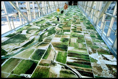 Flying carpet Sacramento Airport