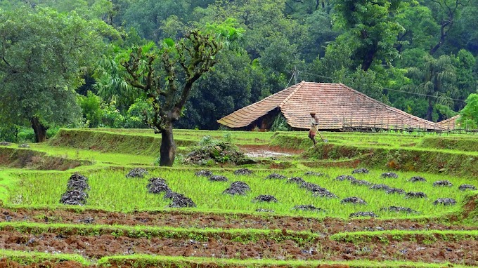 Kodachadri, Hidlumane and Kollur Trip