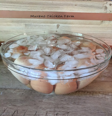 hard boiled eggs in ice water
