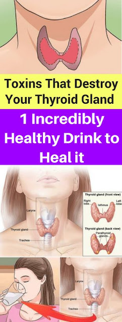 Toxins That Destroy Your Thyroid Gland and 1 Incredibly Healthy Drink to Heal it