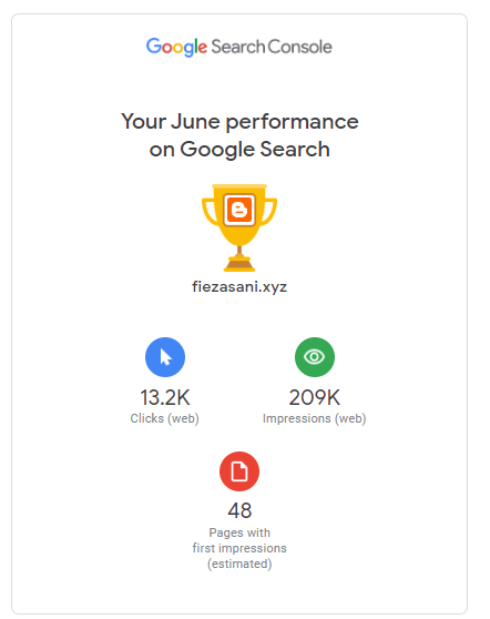 perfomance blog, google search console