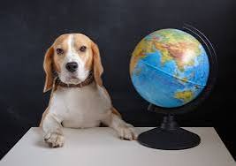 A dog near a world globe