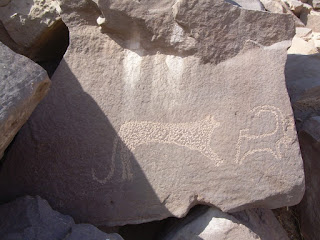 animals and plant life in the rock art scenes near Aswan 