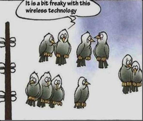 birds in wireless technology