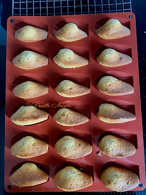 MADELEINES de CHRISTOPHE FELDER