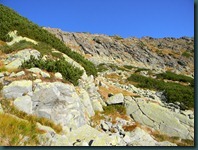 DSCN3180