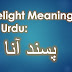 delight meaning in urdu | 5 Tips about meaning in english You Can Use Today
