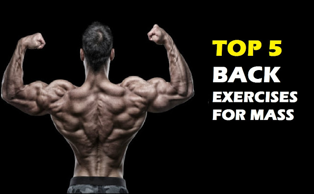 Back Workout for Mass