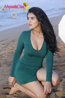 Malavika Sharma Photoshoot for My South Diva Calendar 2019