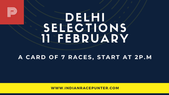 Delhi Race Selections 11 February