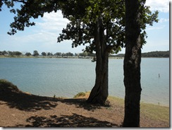 DSCN3203