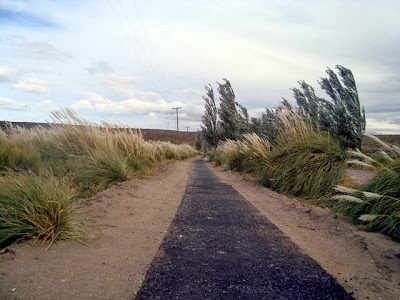 La bicisenda al perilago es deborada por la naturaleza.-