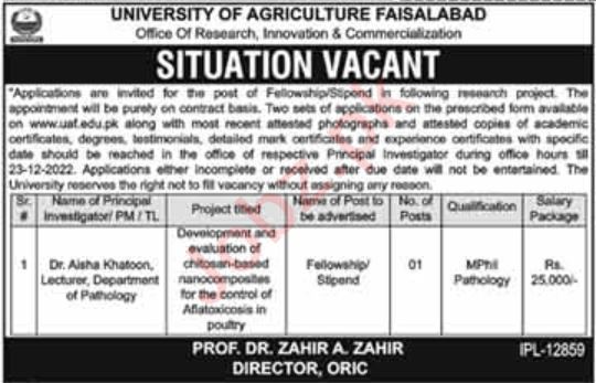 Latest University of Agriculture UAF Education Posts Faisalabad 2022