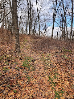 c.GoldintheClouds 2023 Dec hike