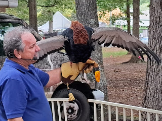 Birdman holding bateleur eagle, who has outspread wings