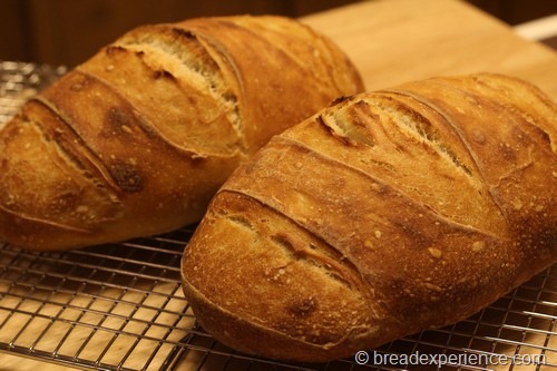 sourdough_bread045