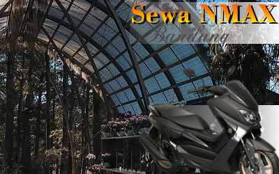 Rental sepeda motor N-Max Jl. Sumber Sugih Bandung